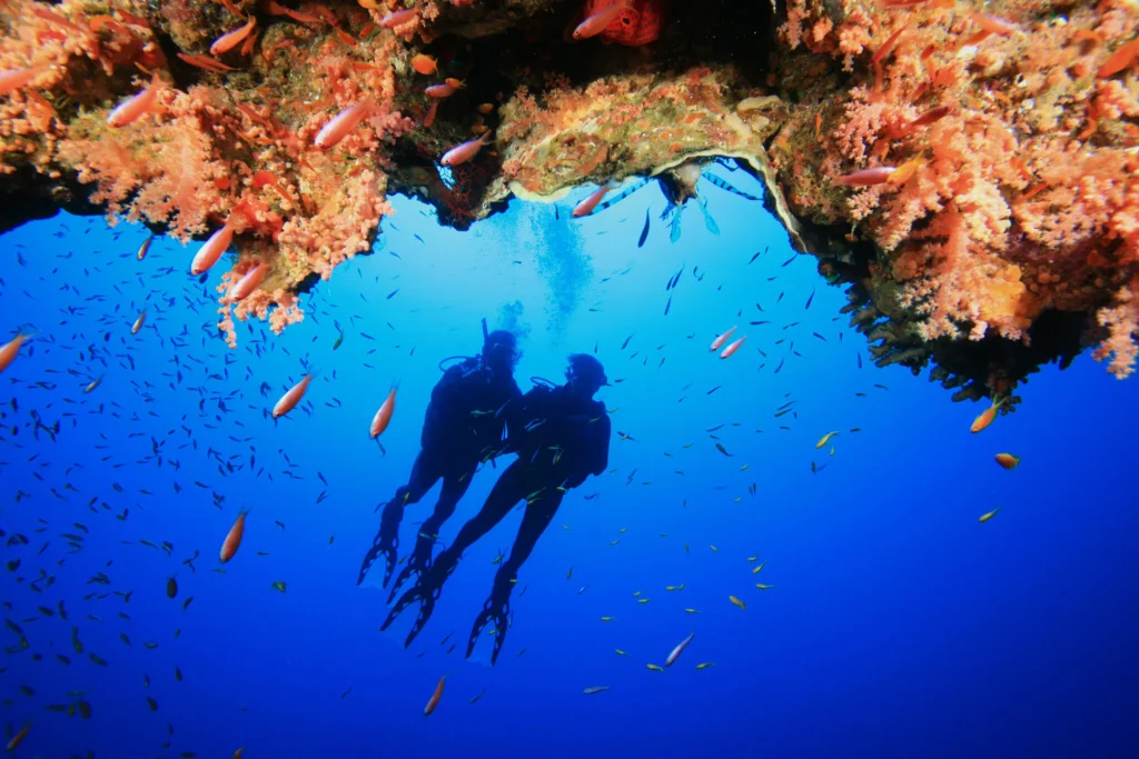 Scuba Diving In The Red Sea