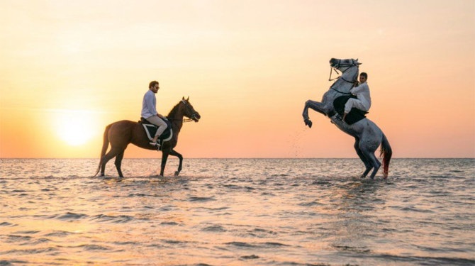 Beach Horse Riding in Jeddah